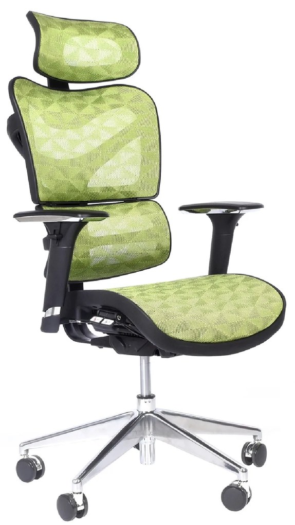 Wygodny fotel biurowy ergonomiczny Ergo 600, tapicerowany tkaniną mesh, dostępne kolory czarny, szary, granatowy, czerwony, zielony. Fotel jest ergonomiczny, regulowany, zapewnia komfortową pracę przy biurku. Nowoczesne fotele biurowe.