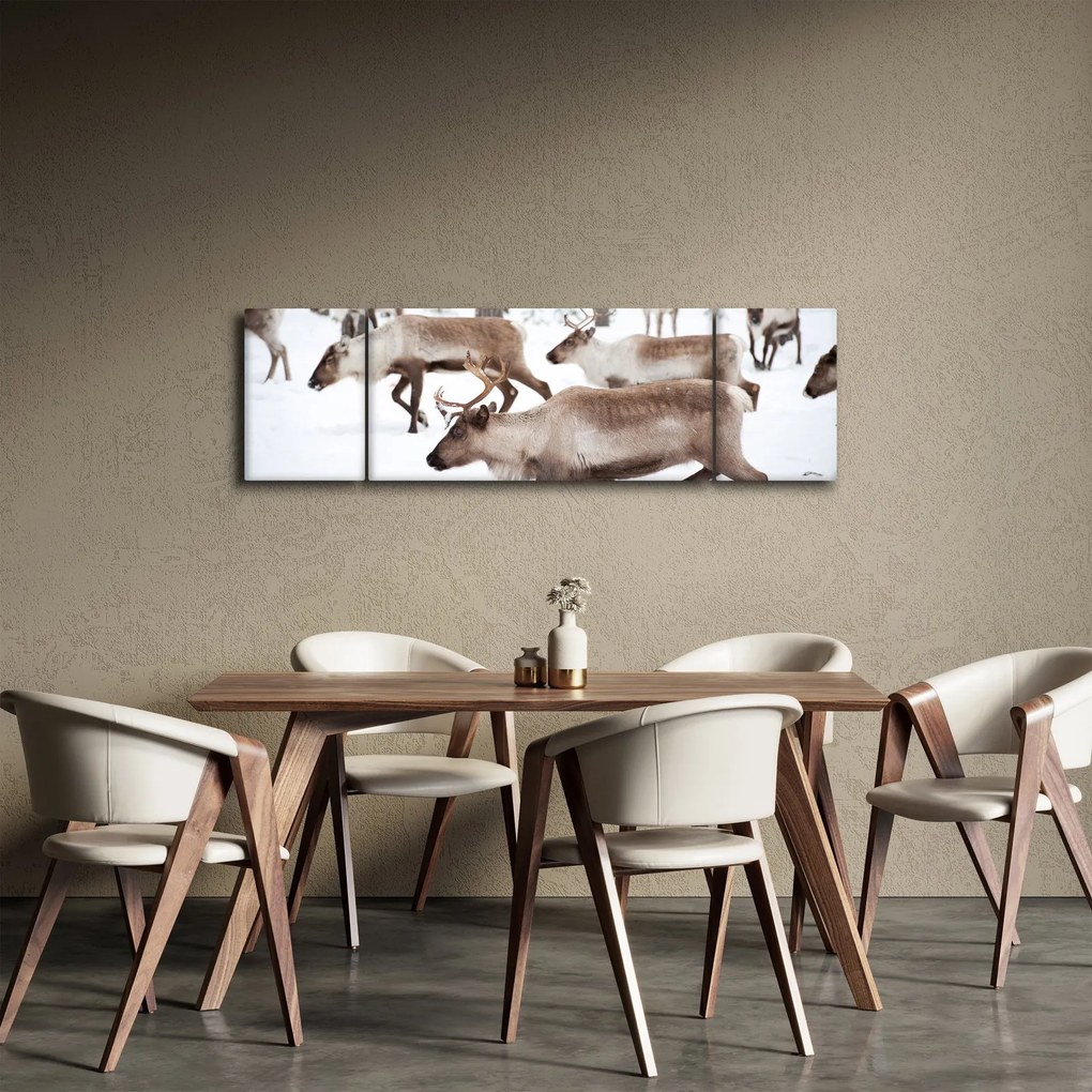 Obraz - Renifer (170x50 cm)