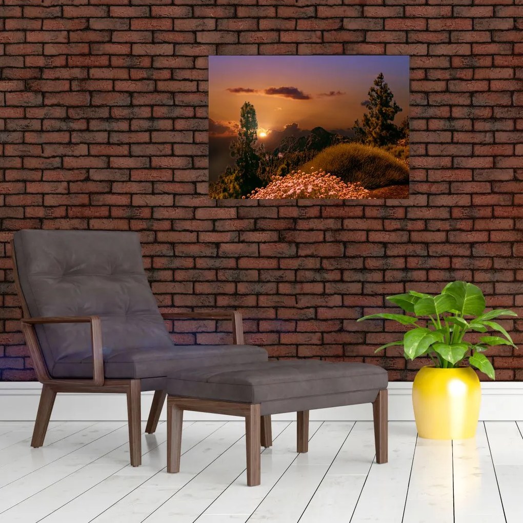 Obraz na szkle - natura z zachodem słońca (70x50 cm)