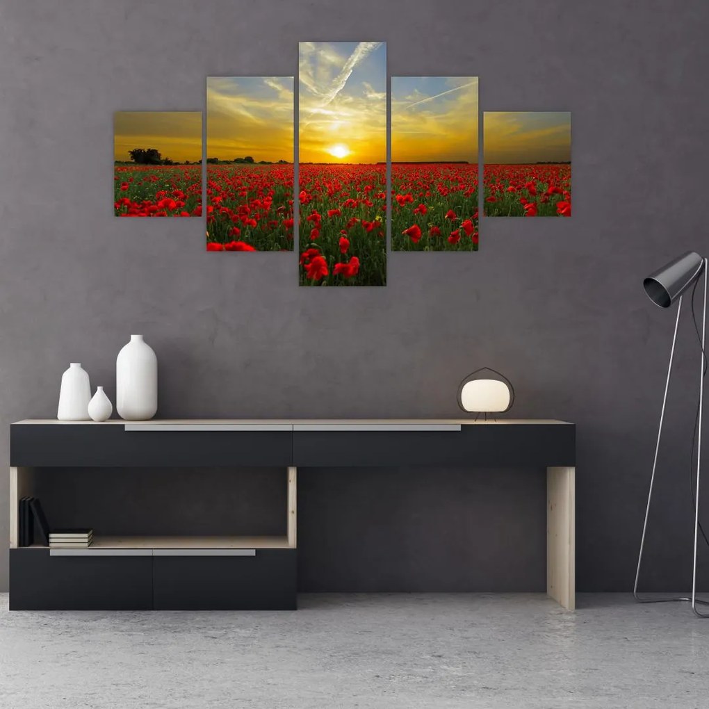 Obraz pola maków (125x70 cm)