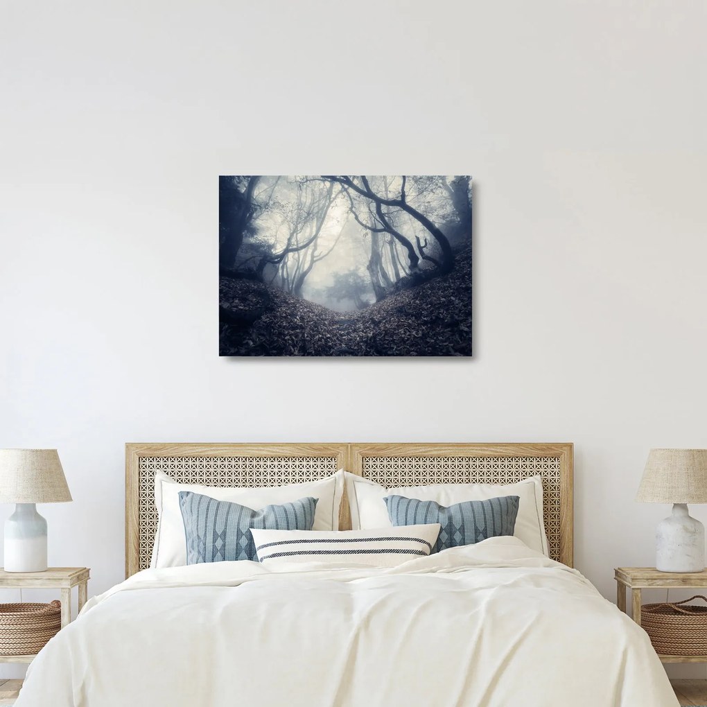 Obraz na szkle- Las we mgle (70x50 cm)