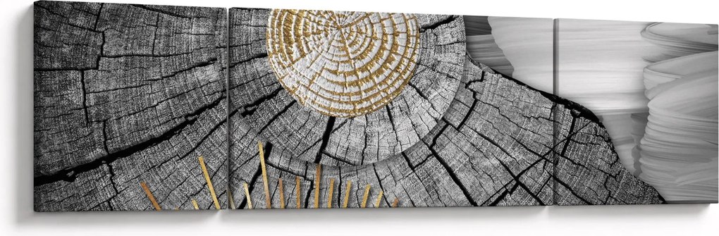 Obraz - Pień drzewa w kolażu (170x50 cm)