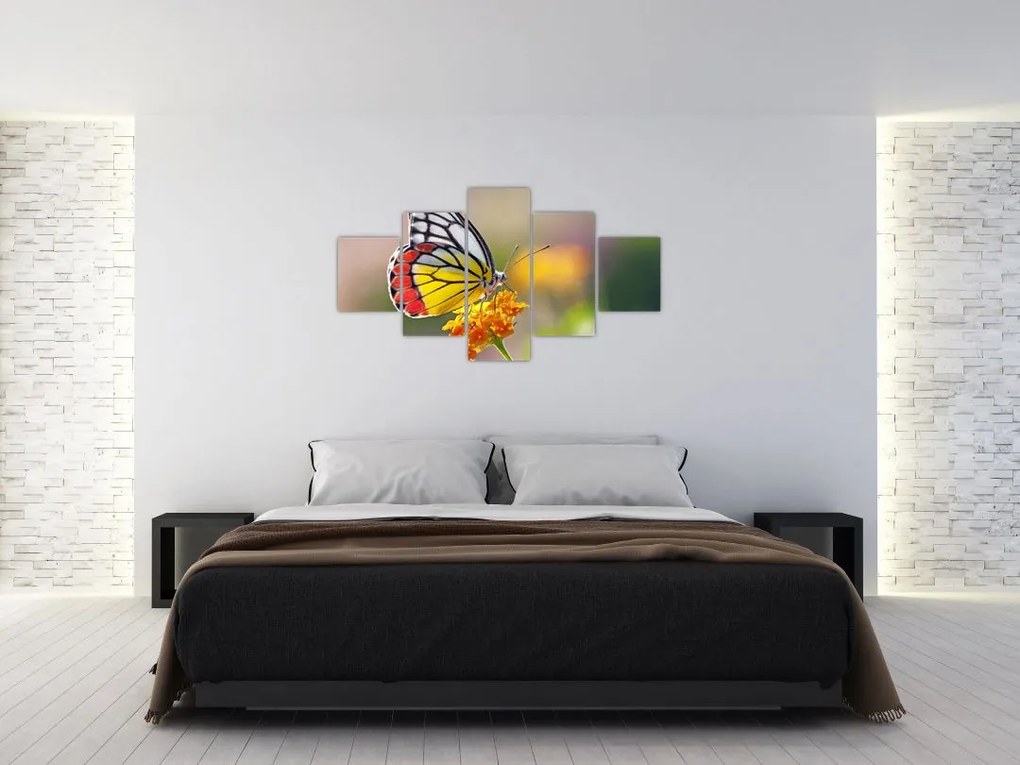 Obraz motyla na kwiatku (125x70 cm)