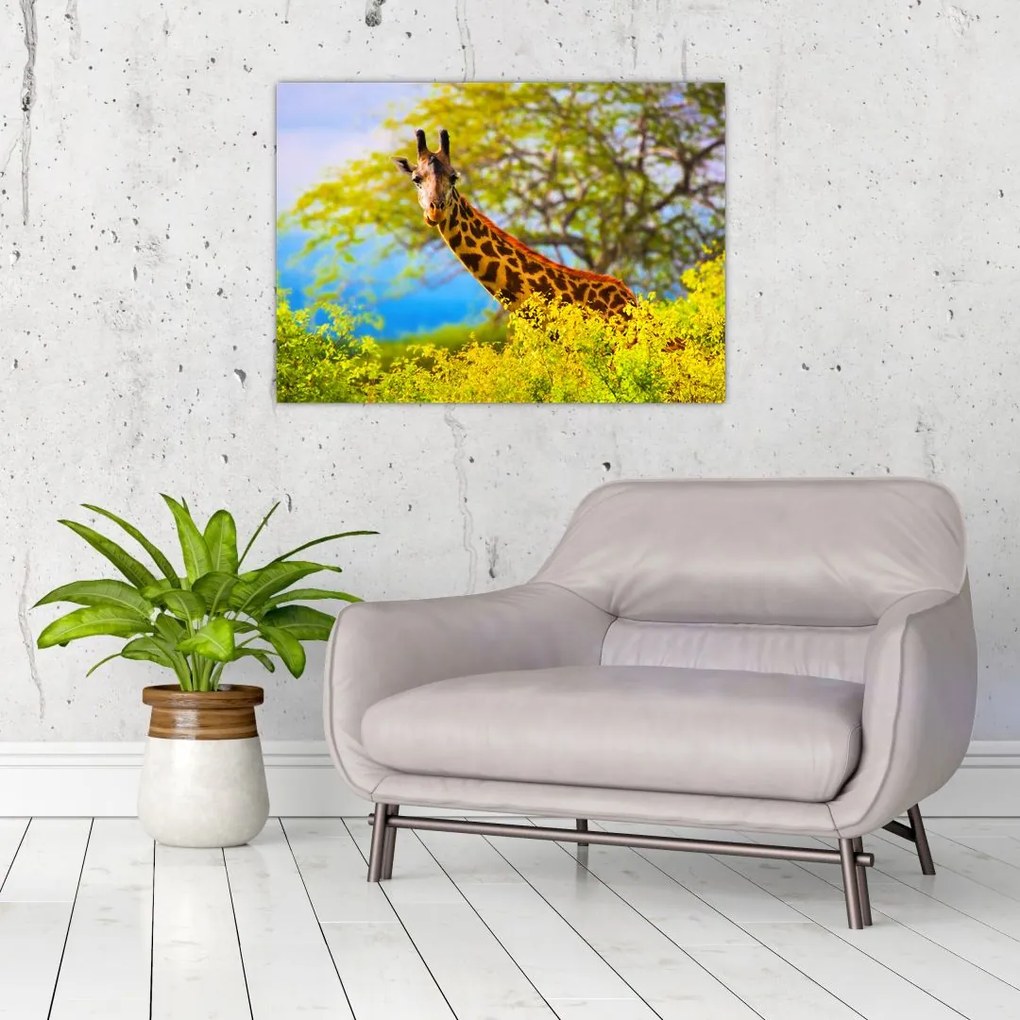 Obraz żyrafy w Afryce (70x50 cm)