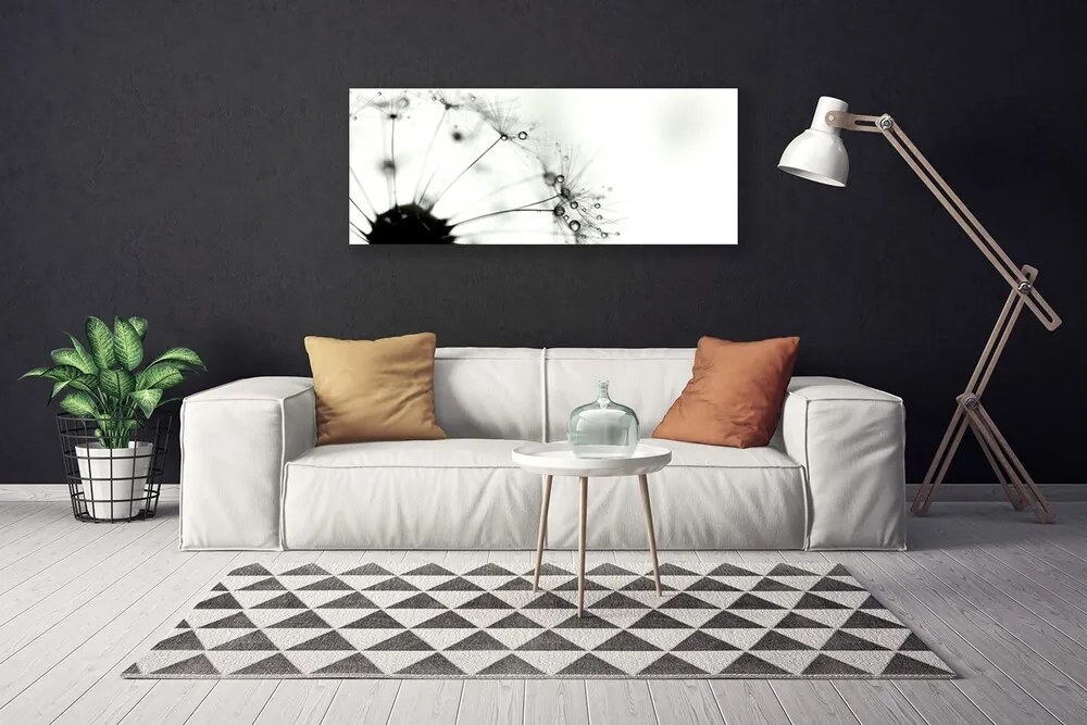 Obraz na płótnie Puszysta Kula Mniszka