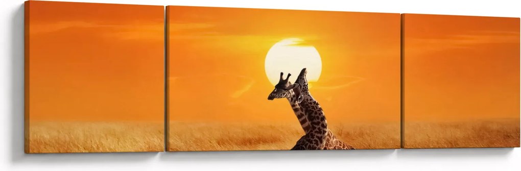 Obraz - Żyrafy w Parku Narodowym Serengeti (170x50 cm)