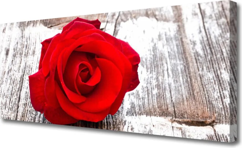 Fotoobraz na płótnie Czerwone Maki w Pełni Lata