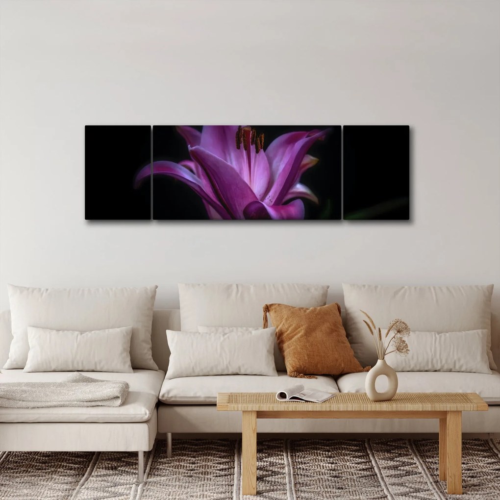 Obraz lilii (170x50 cm)
