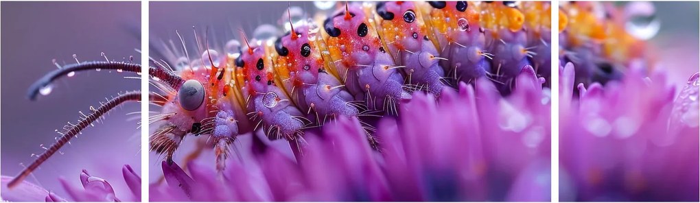 Obraz - Caterpillar (170x50 cm)