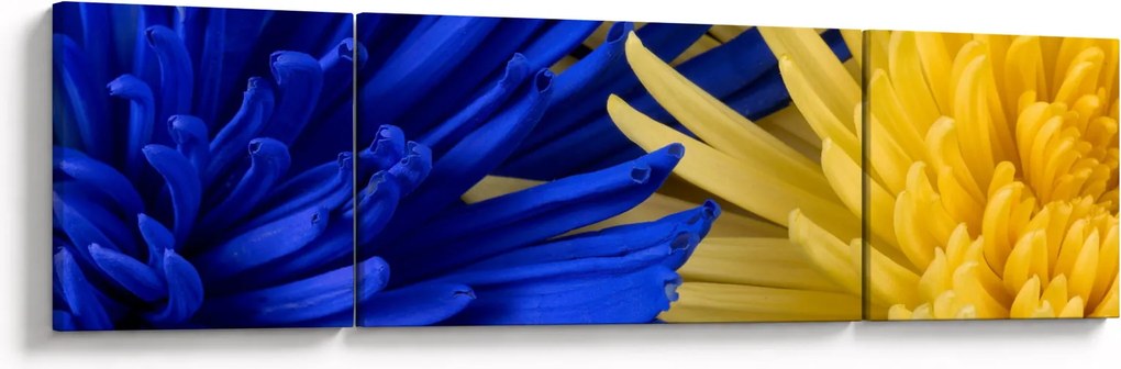 Obraz - szczegóły kwiatów (170x50 cm)