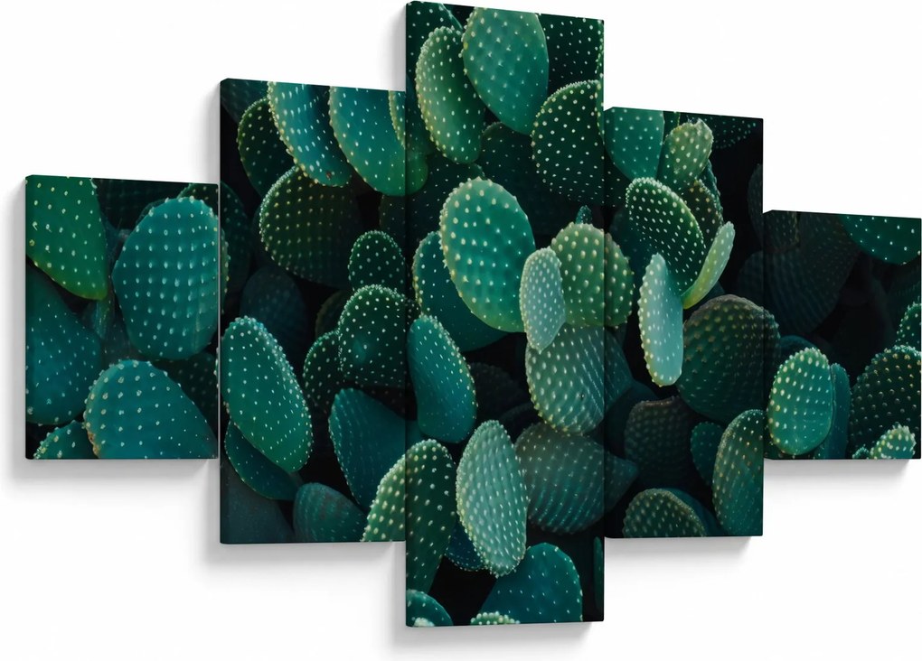 Obraz - Opuncja (125x70 cm)