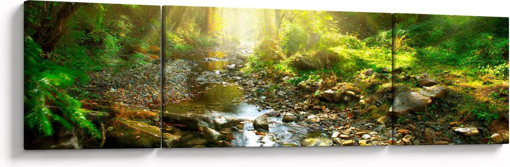 Obraz rzeki w zielonym lesie (170x50 cm)