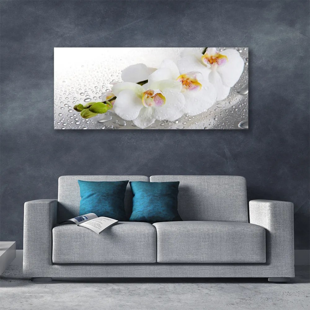 Zdjęcie na płótnie Wiosenny Powiew Natury