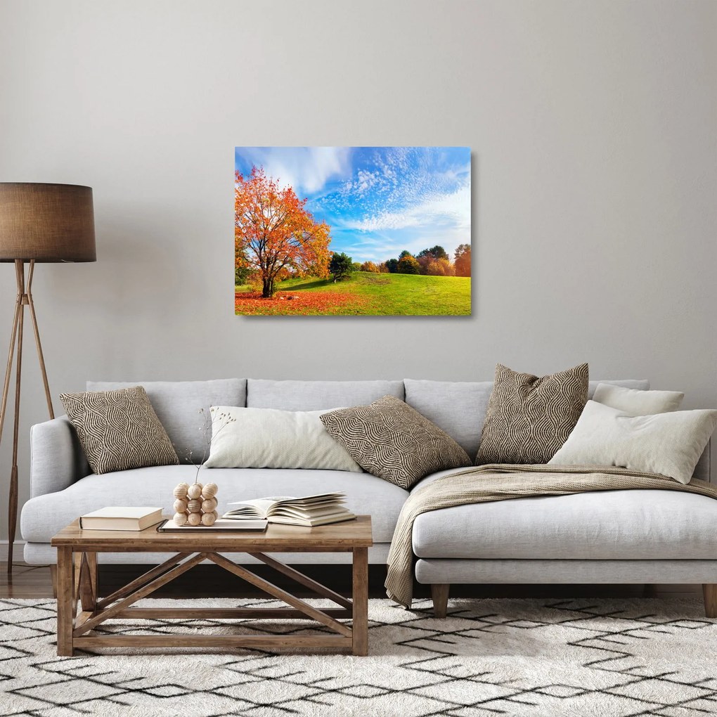 Obraz na szkle - Jesienny krajobraz (70x50 cm)