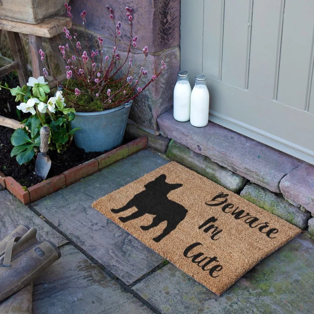 Wycieraczka z włókna kokosowego 40x60 cm Beware I'm Cute French Bulldog – Artsy Doormats