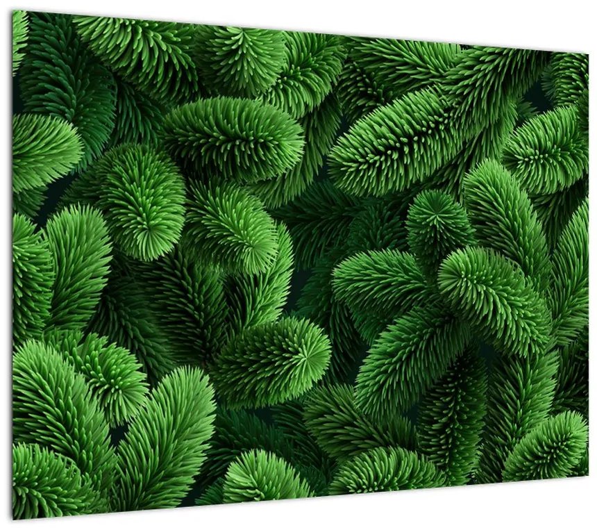 Obraz - Gałązki drzew iglastych (70x50 cm)