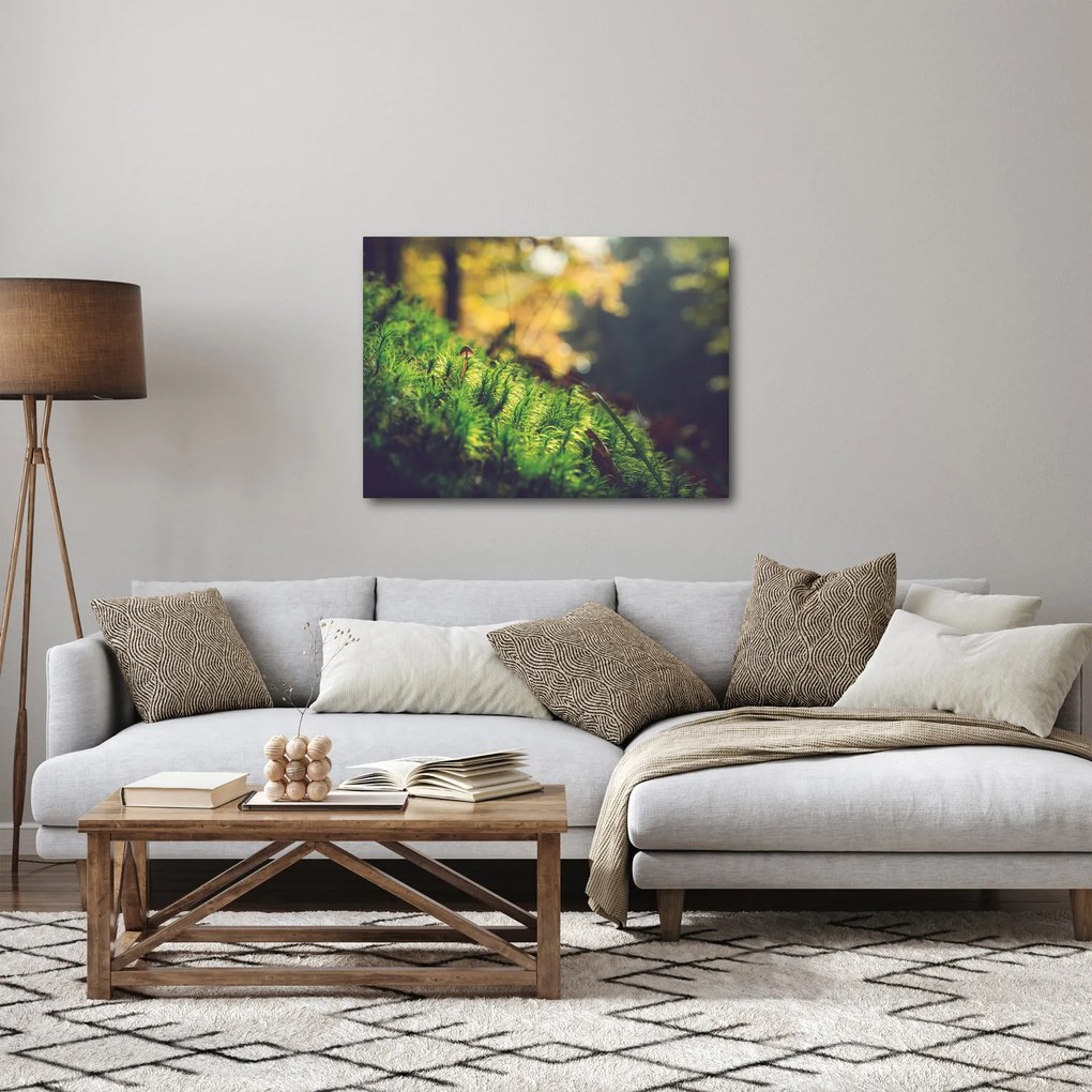 Obraz mchu z grzybem (70x50 cm)