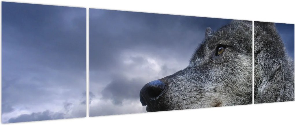 Obraz - Głowa wilka (170x50 cm)