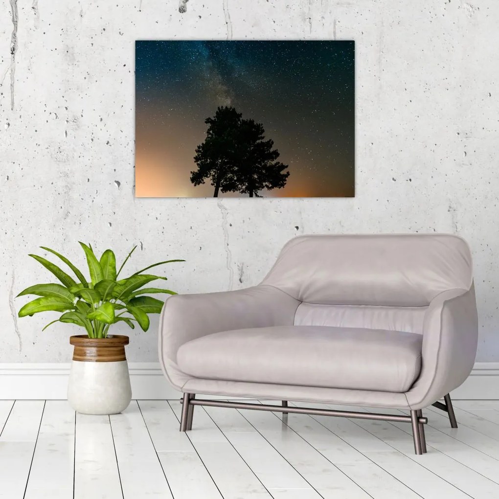 Obraz nocnego nieba z drzewami (70x50 cm)