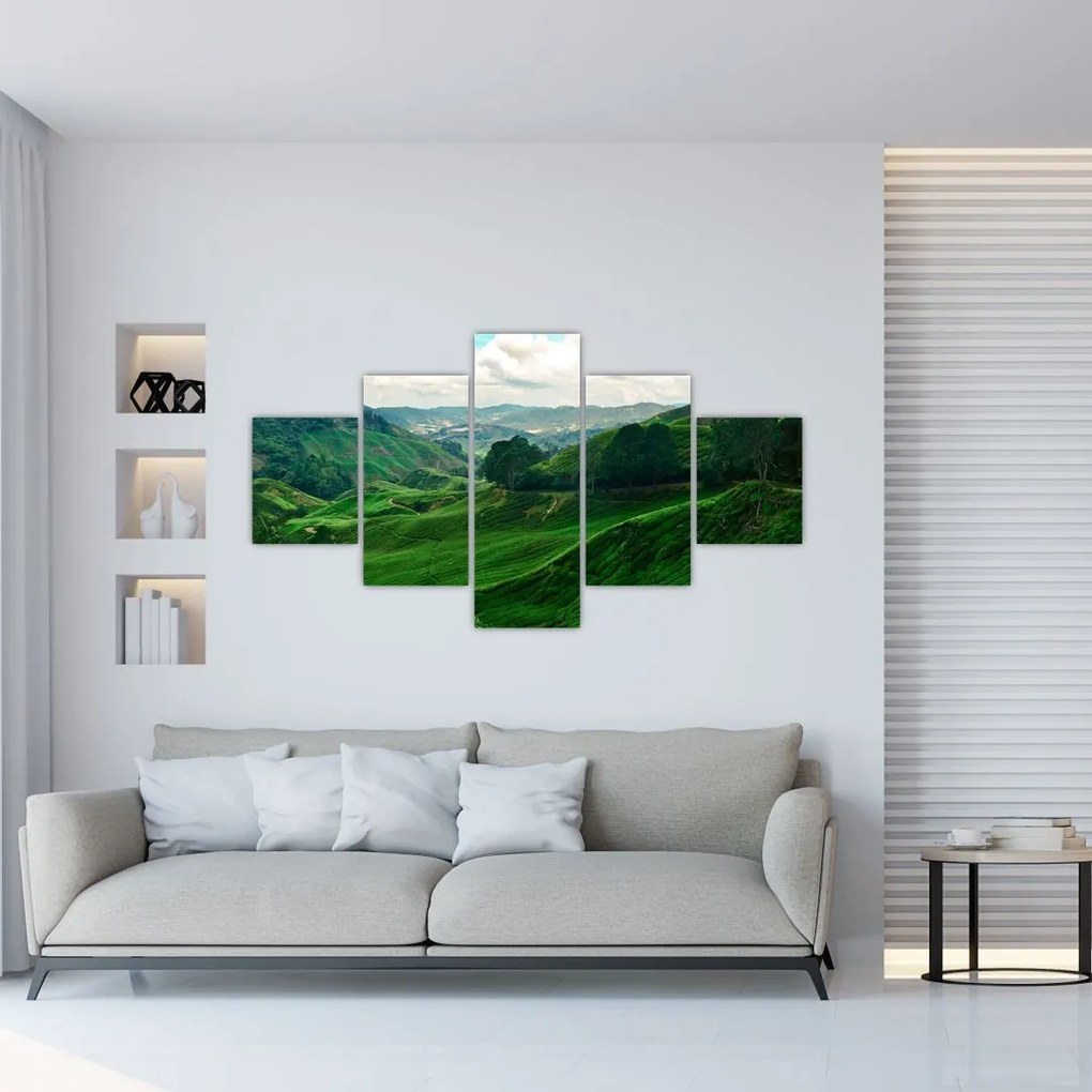 Obraz - Plantacje herbaty w Malezji (125x70 cm)