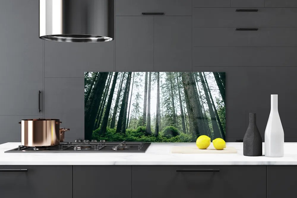 Szkło nad Blatem Promienie Słońca W Lesie