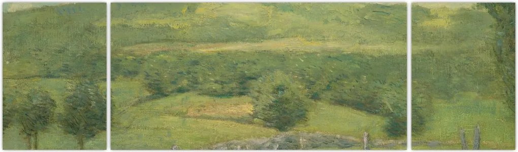 Obraz - Julian Alden Weir, Obweebetuck, reprodukcje (170x50 cm)