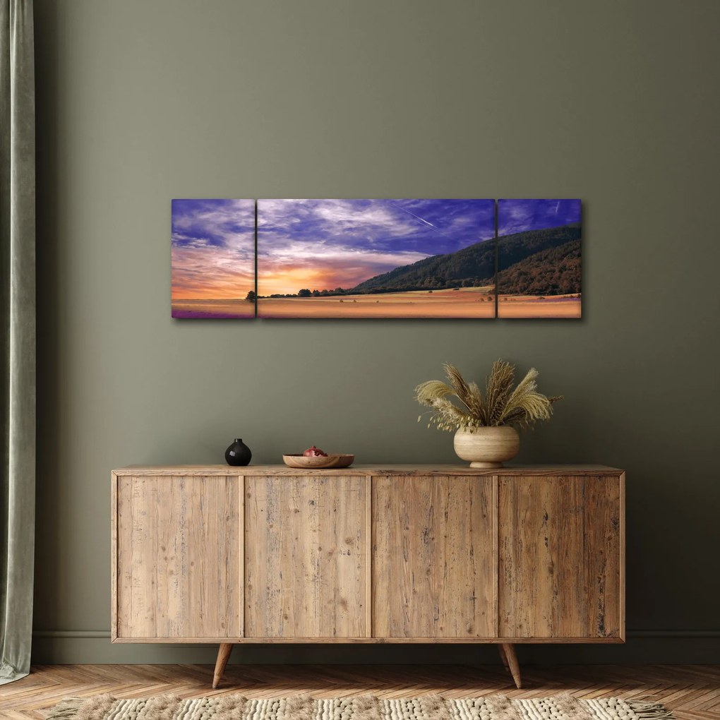 Obraz lawendowej łąki (170x50 cm)