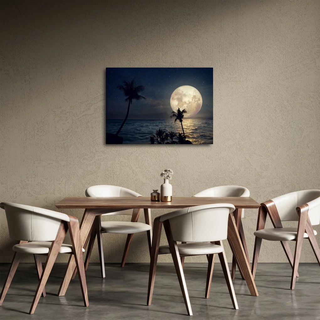 Obraz - Plaża pod pełnią księżyca (70x50 cm)