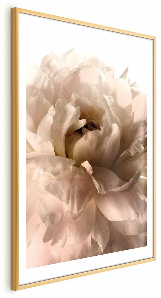 Plakat Miękkie płatki 40x60 cm z ramą złotą z marginesem ARTGEIST B