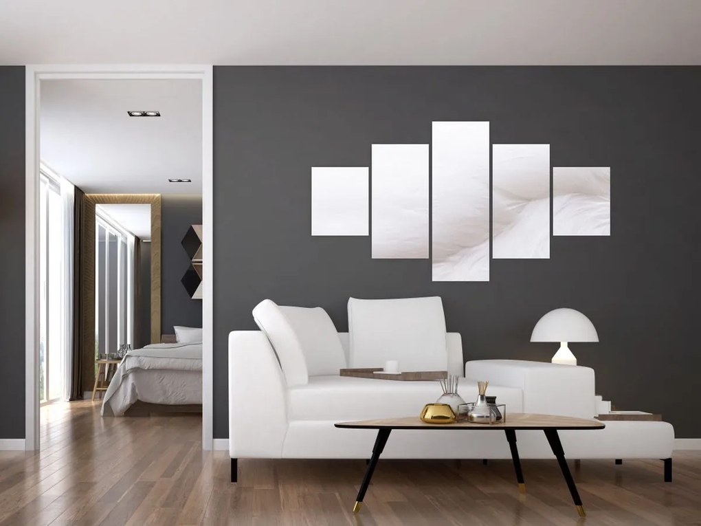Obraz - Białe pióro (125x70 cm)
