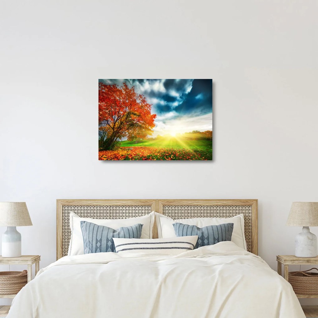 Obraz na szkle skąpanego w słońcu krajobrazu (70x50 cm)
