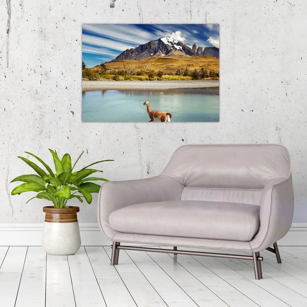 Obraz - Park Narodowy Torres del Paine (70x50 cm)