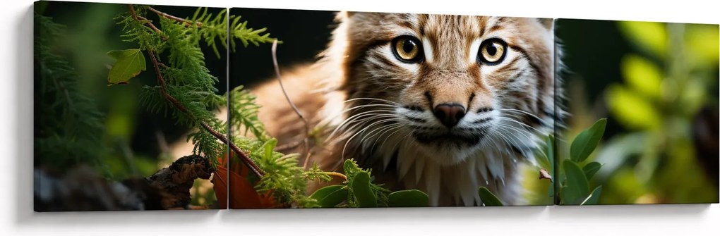 Obraz - Rysunek (170x50 cm)