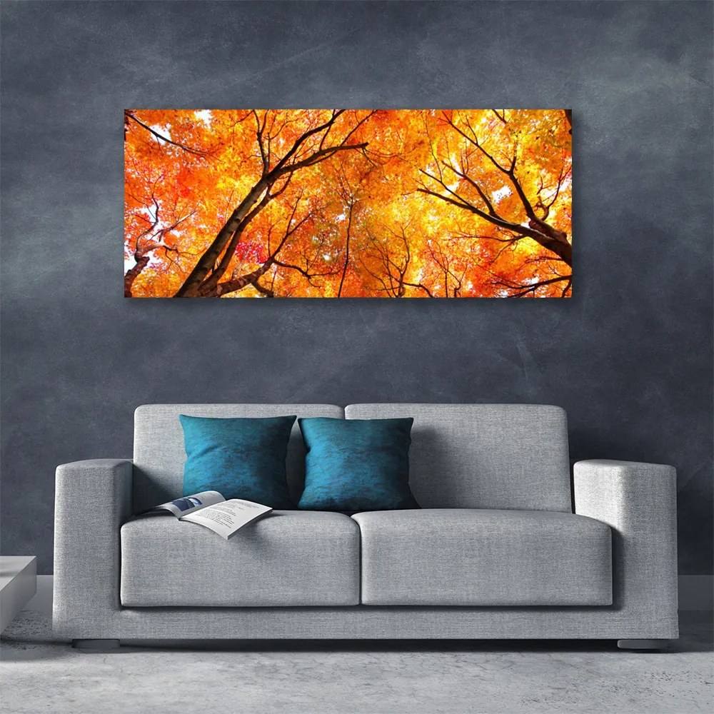 Obraz na płótnie Gęsty Las Liściasty