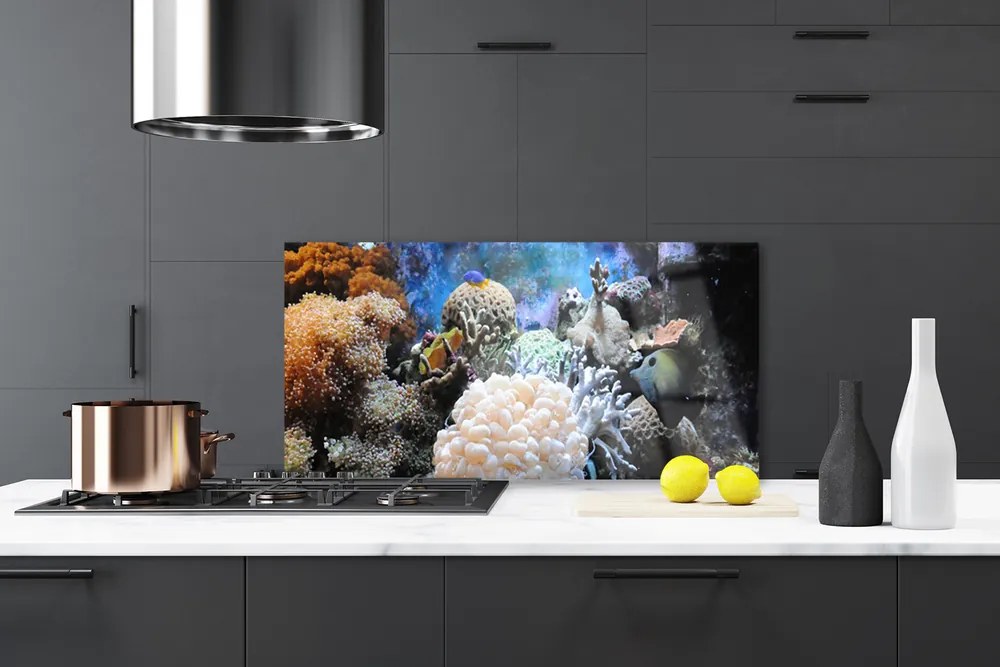 Szkło Ozdobne do Kuchni Bogactwo Oceanicznej Rafy