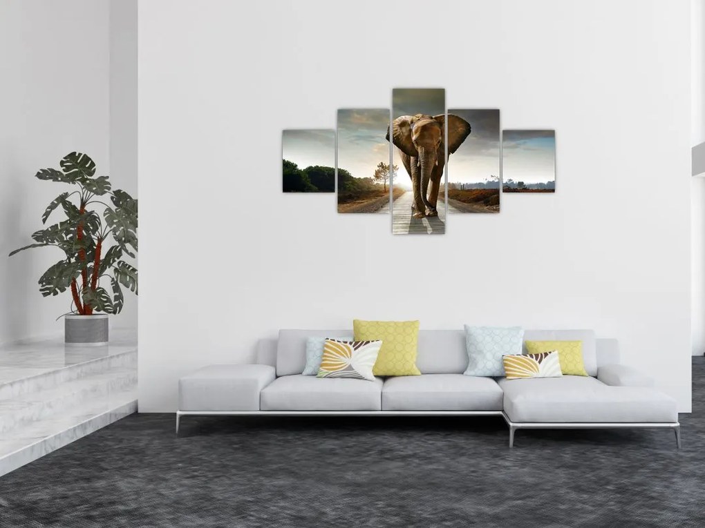 Obraz słonia (125x70 cm)