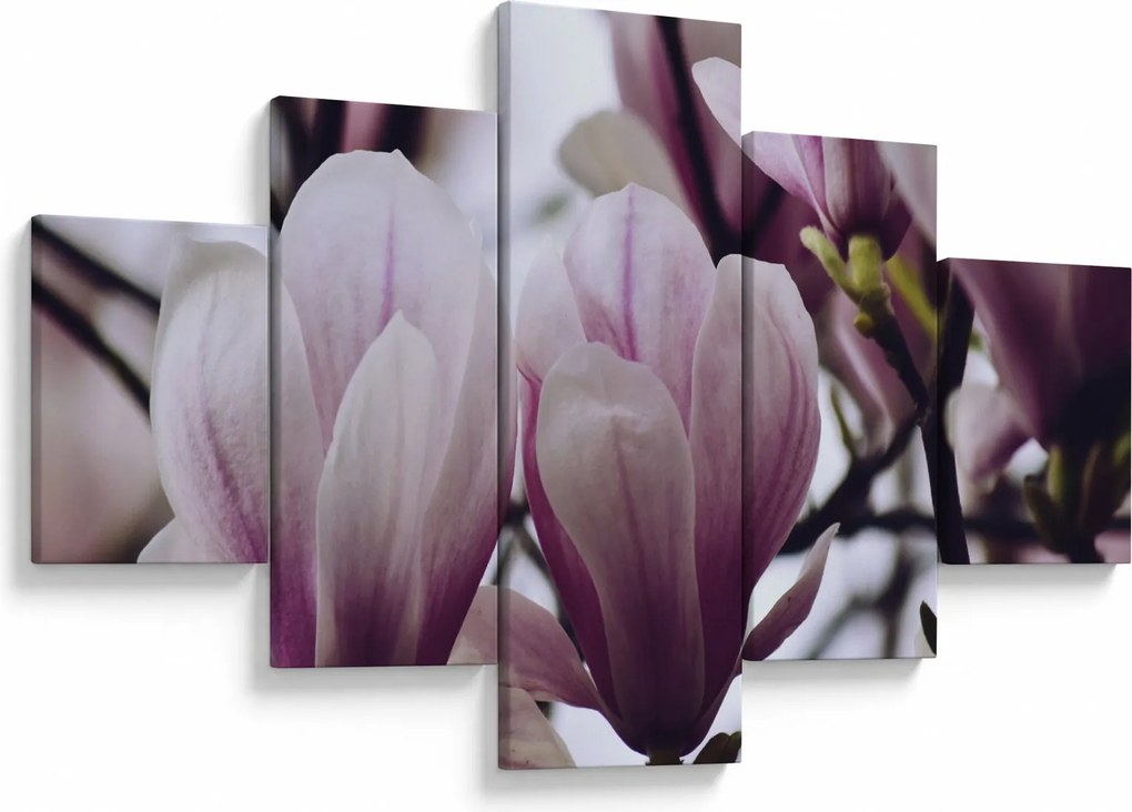 Obraz - Magnolia (125x70 cm)