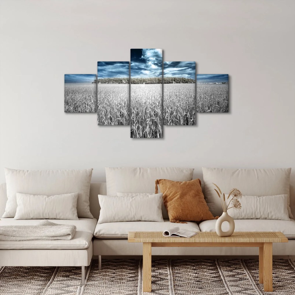 Obraz pola (125x70 cm)