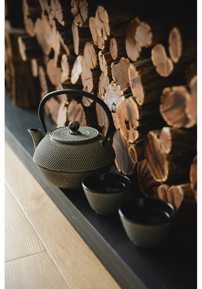 Szare żeliwne filiżanki zestaw 2 szt. 100 ml Jang – Bredemeijer