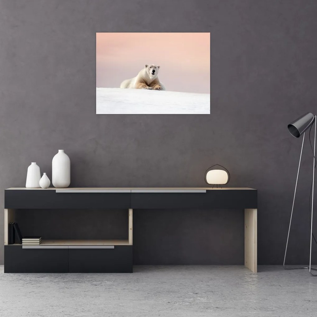 Obraz - Niedźwiedź polarny (70x50 cm)