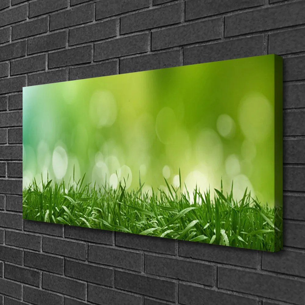 Obraz canvas Świeżość Zielonej Natury