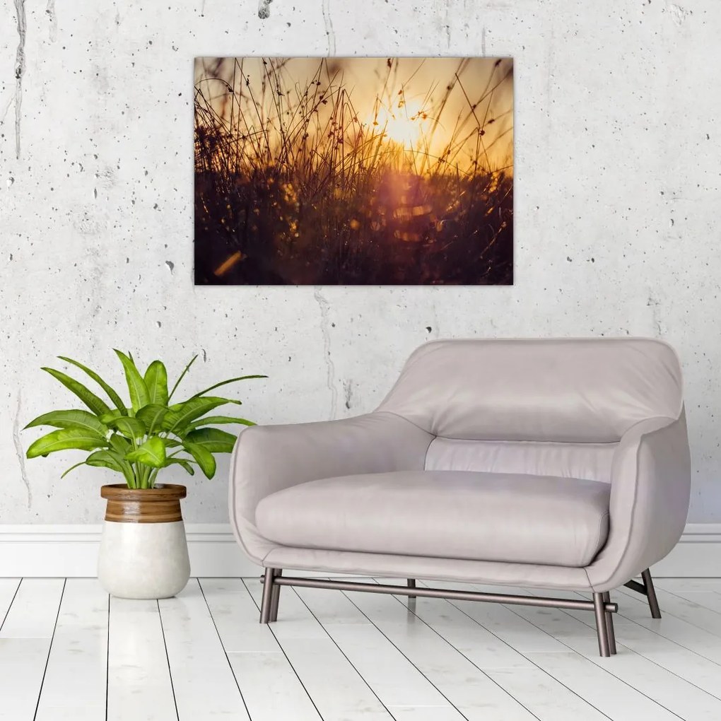 Obraz na szkle pola o zachodzie słońca (70x50 cm)