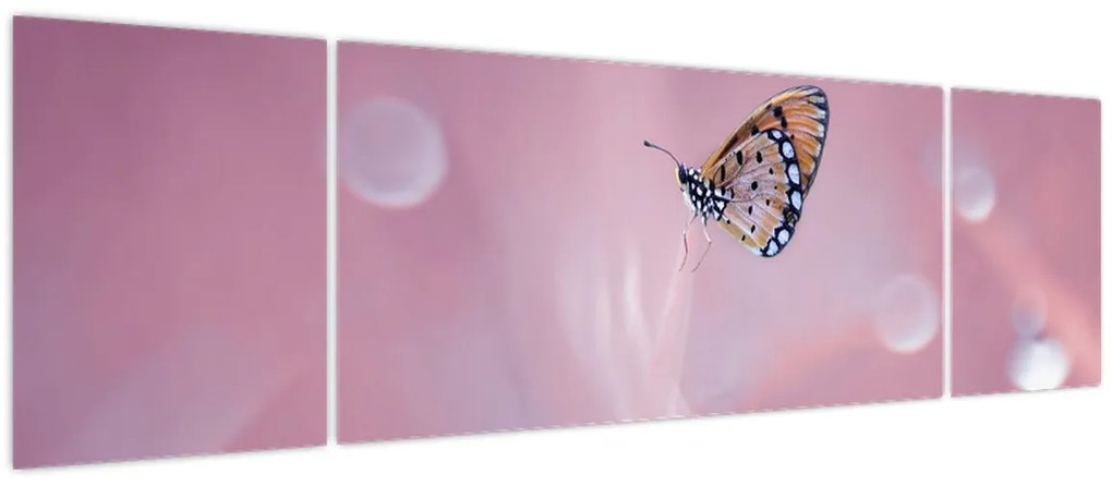 Obraz - Motylek (170x50 cm)