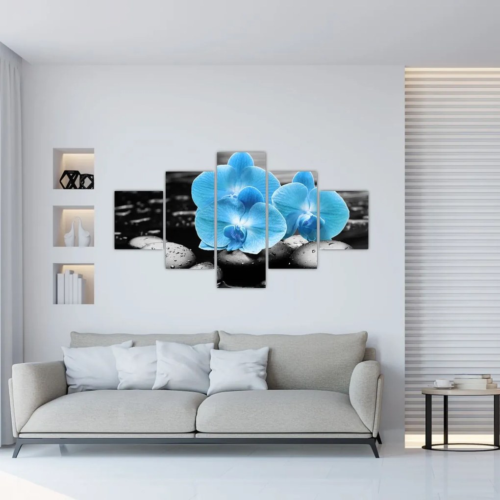 Obraz - Niebieska Orchidea (125x70 cm)