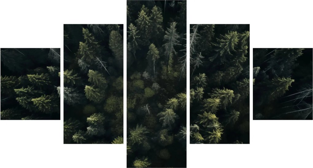 Obraz - Las (125x70 cm)