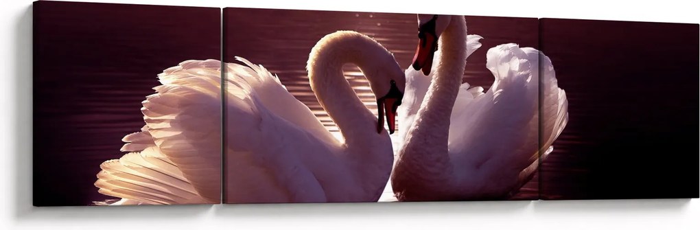 Obraz - Łabędzie na jeziorze (170x50 cm)