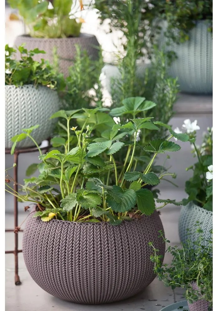 Plastikowa wisząca i ścienna doniczka ø 36 cm Cozy – Keter