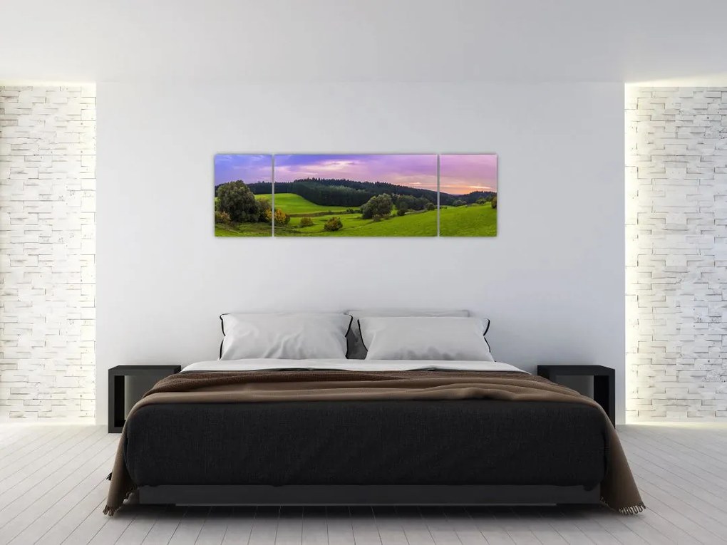Obraz łąki (170x50 cm)