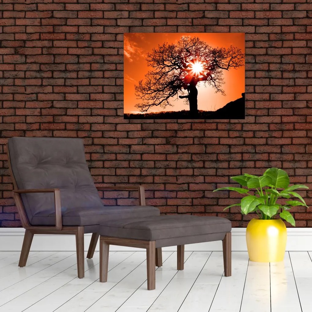 Obraz na szkle - Dąb o zachodzie słońca (70x50 cm)