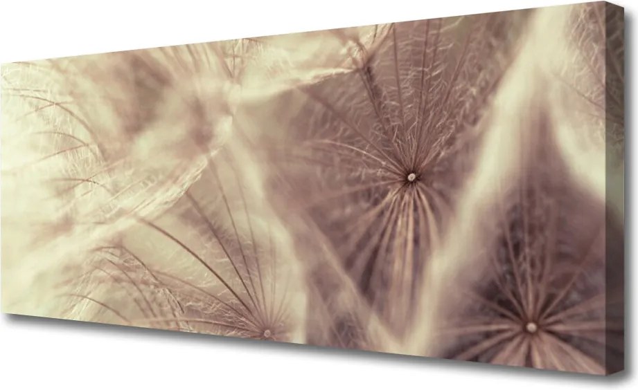 Obraz canvas Złocisty Mniszek w Polu